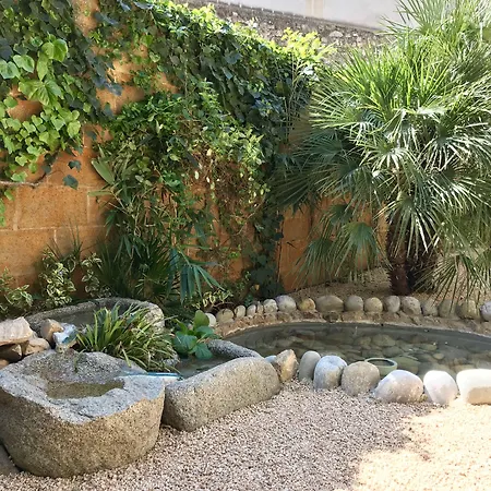 فندق Xicu Capmany